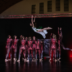 BACSKO-LEVENTE-GABOR