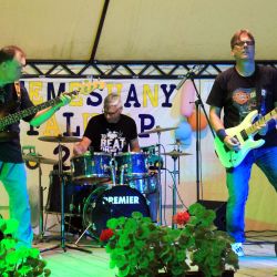 Bartus Robert Levente